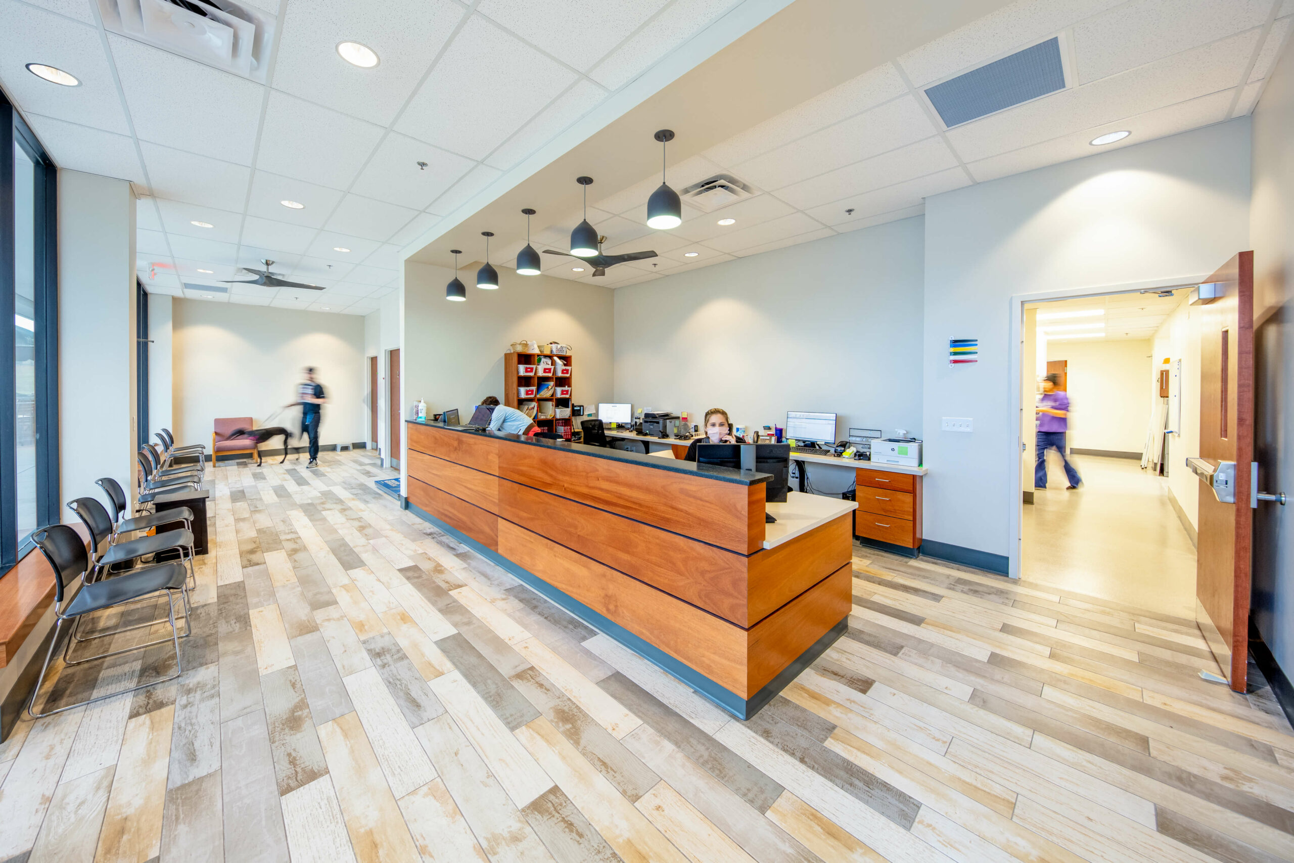 Marketplace Animal Hospital Build with Rose